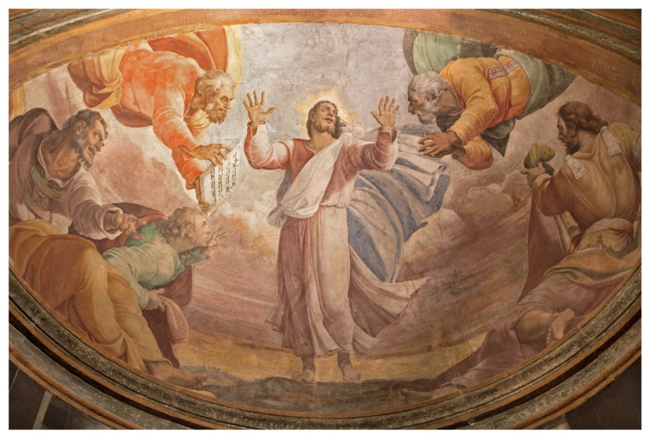 From Vision to Vocation