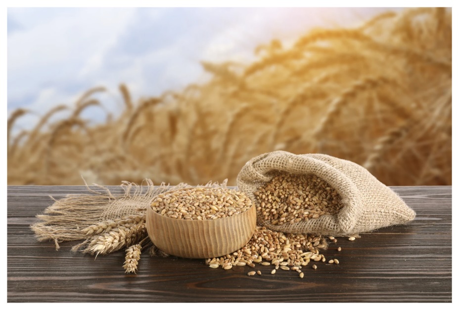 Two Types of Harvest