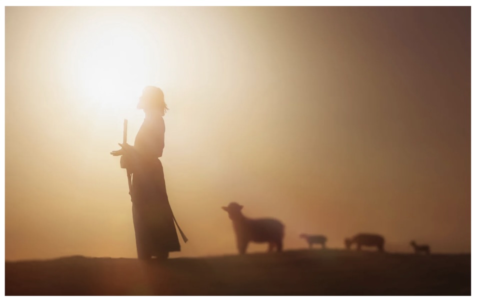 Like Sheep Without a Shepherd!