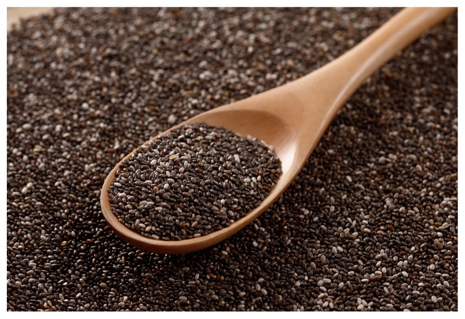 Mustard Seed Faith