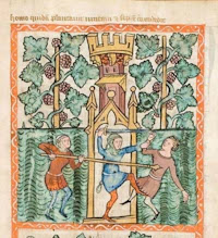 27th Sunday in Ordinary Time