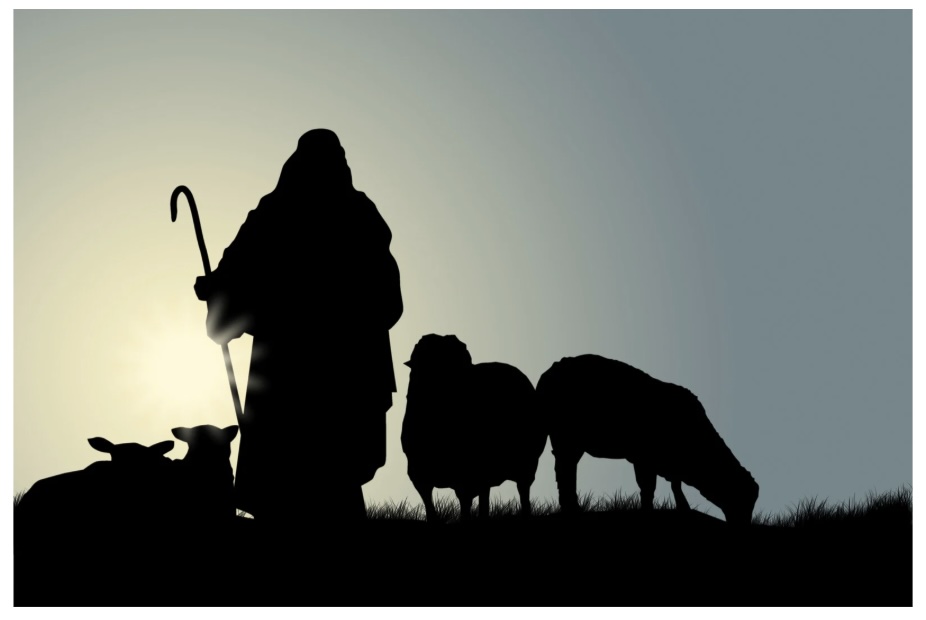 Shepherd After God’s Heart
