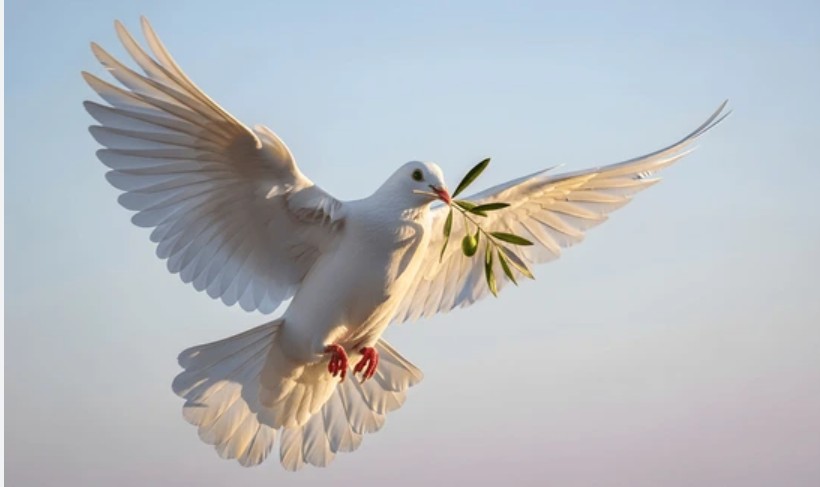 Are Christians Losing Their Voice in Karnataka? A Call for Justice and Representation