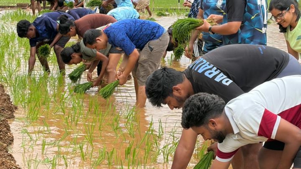 Hands in the Mud, Hearts in Formation: Rachol Seminary Reopens with Annual Paddy Transplantation