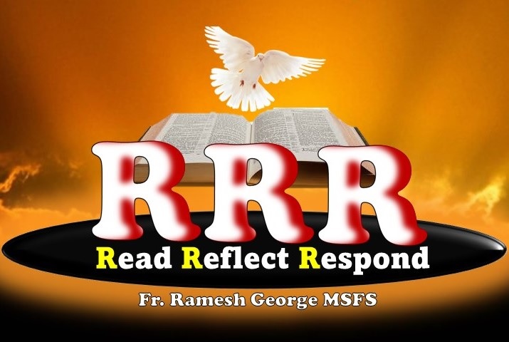 Refelction Religious Daily Reflection | Catholic Connect